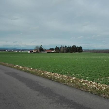 Maison Entiere Independante Noyers-sur-Serein Buitenkant foto