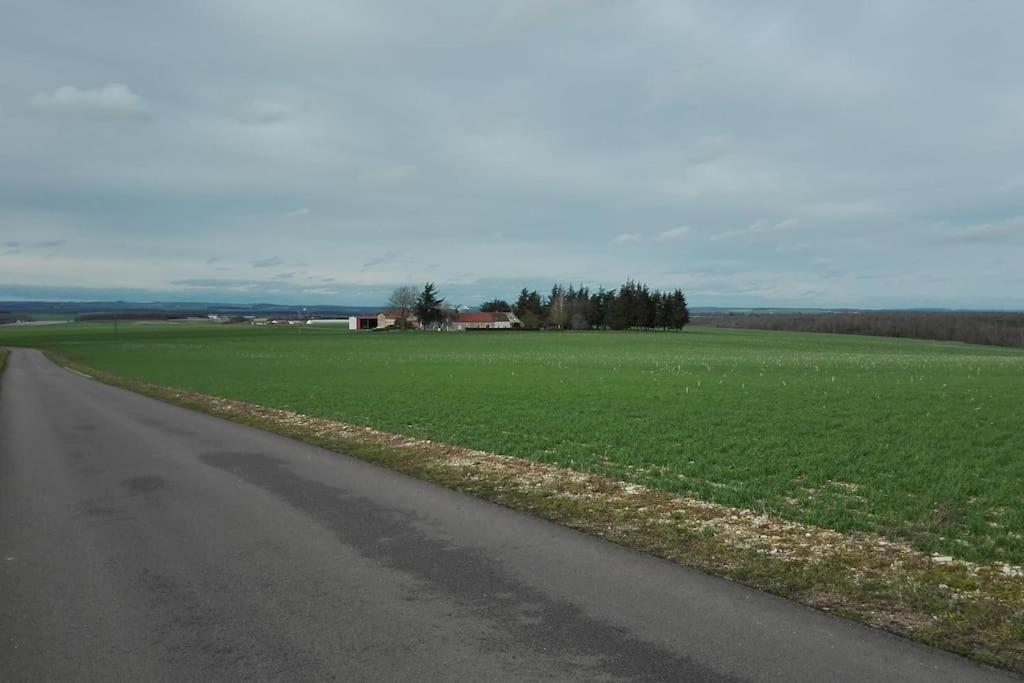Maison Entiere Independante Noyers-sur-Serein Buitenkant foto